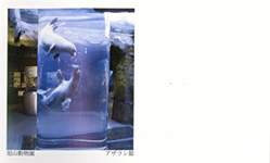 No.24AUV