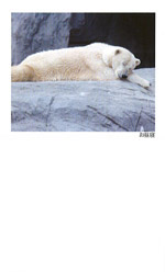 No.39Q