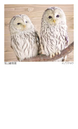 No.48G]tNE