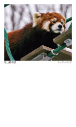 No.49bT[p_
